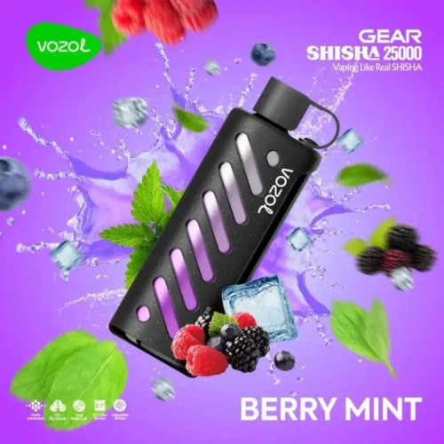 VOZOL GEAR 25000 Berry Mint VOZOL GEAR 25000 Berry Mint