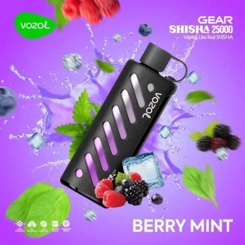 VOZOL GEAR 25000 Berry Mint