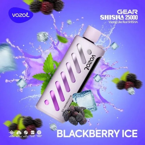 VOZOL GEAR 25000 Blackberry Ice VOZOL GEAR 25000 Blackberry Ice