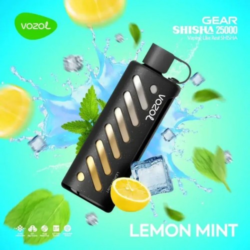 VOZOL GEAR 25000 Lemon Mint VOZOL GEAR 25000 Lemon Mint
