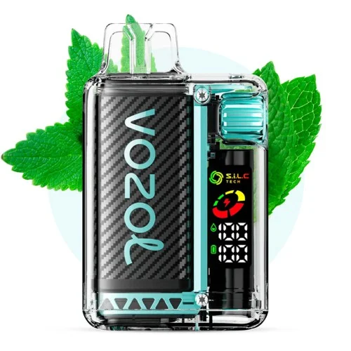 Vozol Vista 20000 Miami Mint Vozol Vista 20000 Miami Mint