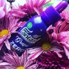 Fantasi Grape Zero (65ML) Likit Fantasi Grape Zero (65ML) Likit