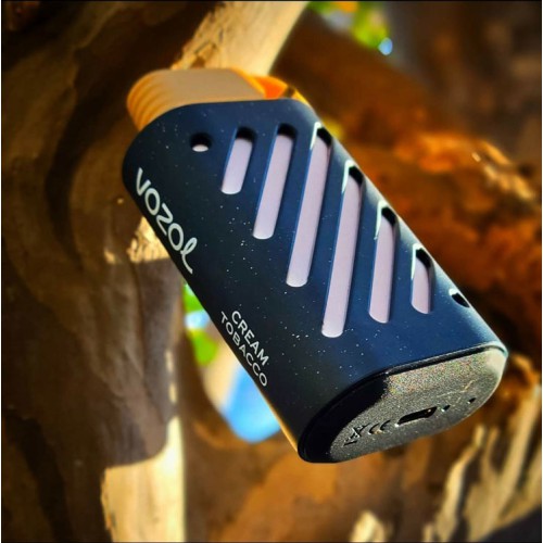 VOZOL GEAR 10000 Puff Disposable Kit 500mAh VOZOL GEAR 10000 Puff Disposable Kit 500mAh